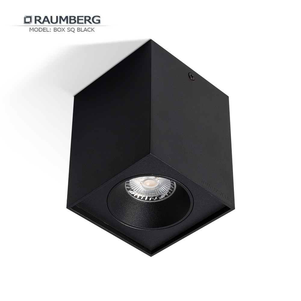Светильник накладной RAUMBERG BOX SQ GU10 Черный корпус