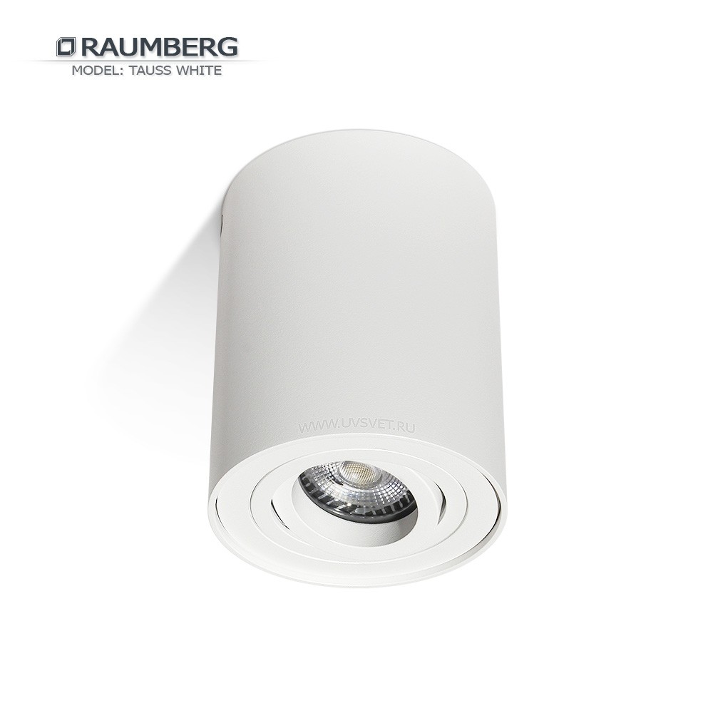 Светильник накладной поворотный RAUMBERG TAUSS (HDL-5600) GU10 Белый корпус