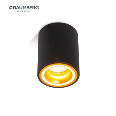 Накладной светильник RAUMBERG Blick Черный/Золото